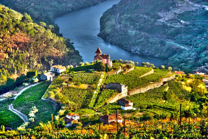 An aerial view of the green Douro Valley in Portugal and the Duoro River in the distance