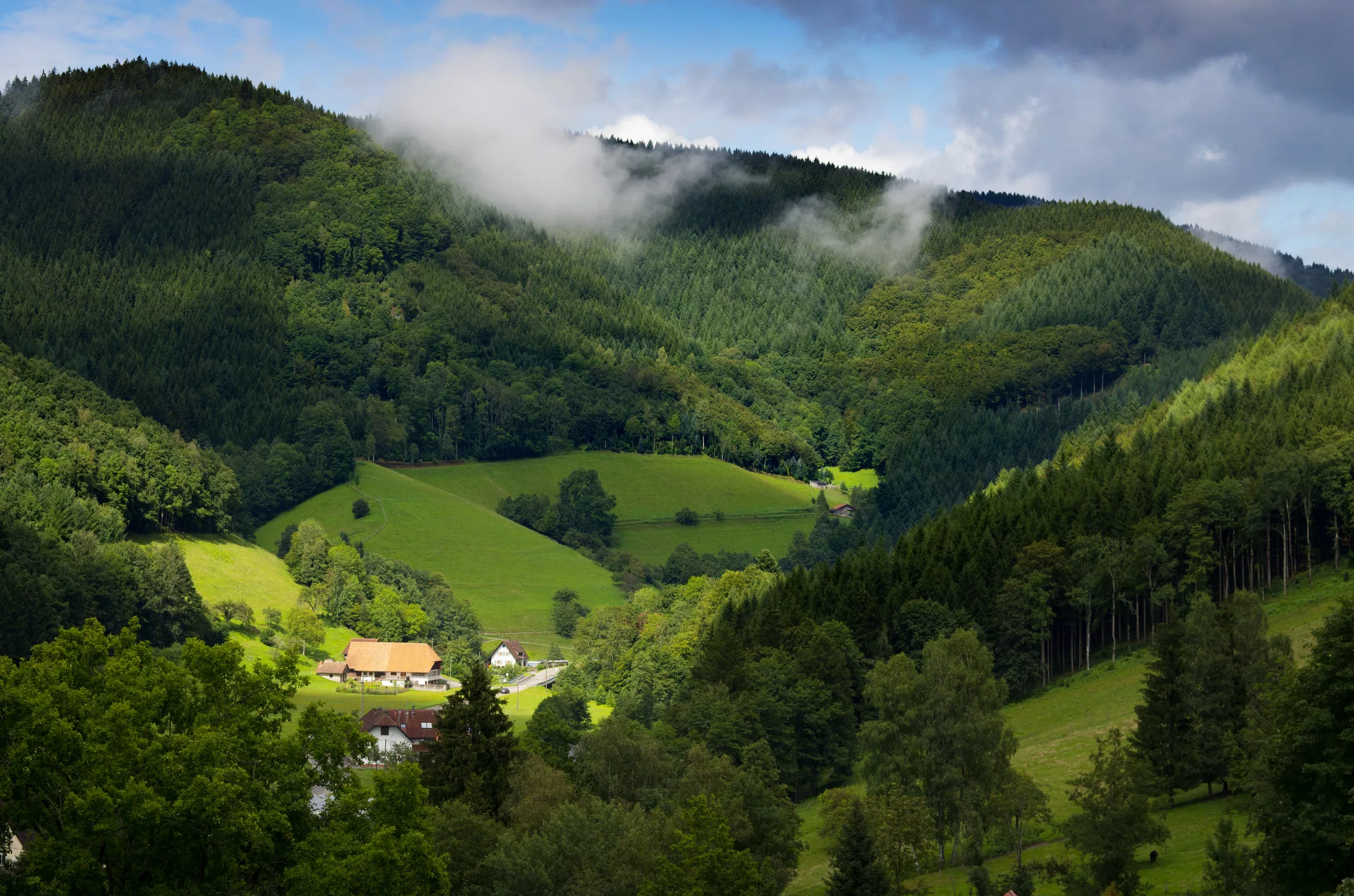 The Black Forest mountain range, covered with forests of green trees and grass, with a small village seen in the centre